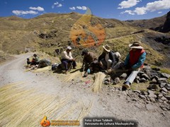 puente-inca-13
