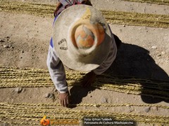 puente-inca-17
