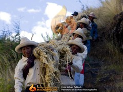 puente-qeswachaca-31
