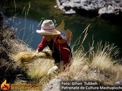 puente-puente-75